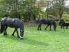 Bild 16