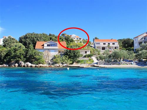 Ferielejlighed - 7 personer -  - Tri žala b.b., Tri žala - 20275 - Zrnovo