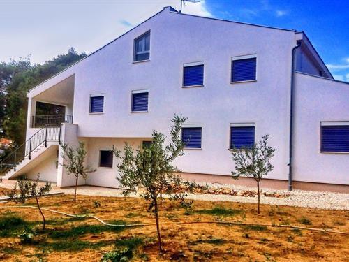 Holiday Home/Apartment - 2 persons -  - 23287 - Veli Rat-Verunic Dugi Oto