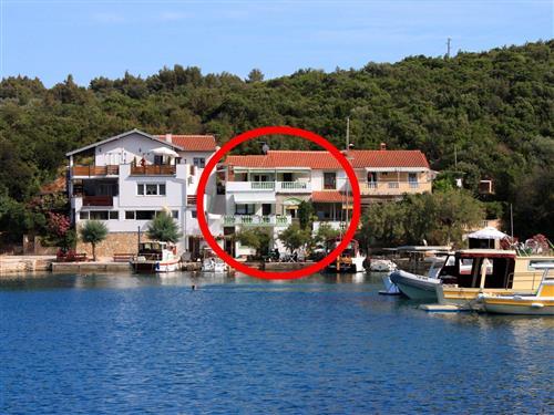 Semesterlägenhet - 6 personer -  - Zaglav - 23281 - Sali