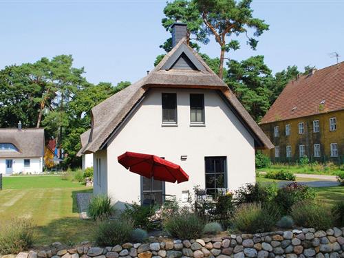 Feriehus - 4 personer -  - Zirchower Str. - 17419 - Zirchow