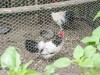 Image 29 - Outside