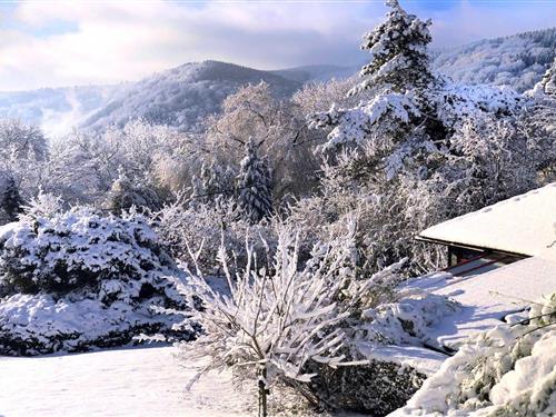Chalet - 2 personer -  - 4920 - Aywaille