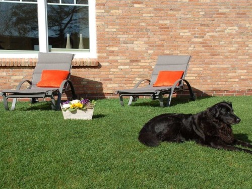Holiday home - 4 persons -  - 25899 - Dagebüll Ot Süderwaygaard