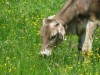 Bild 17