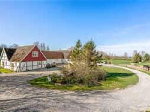 Holiday apartment - 4 persons -  - Herbergervej - 4840 - Nørre Alslev