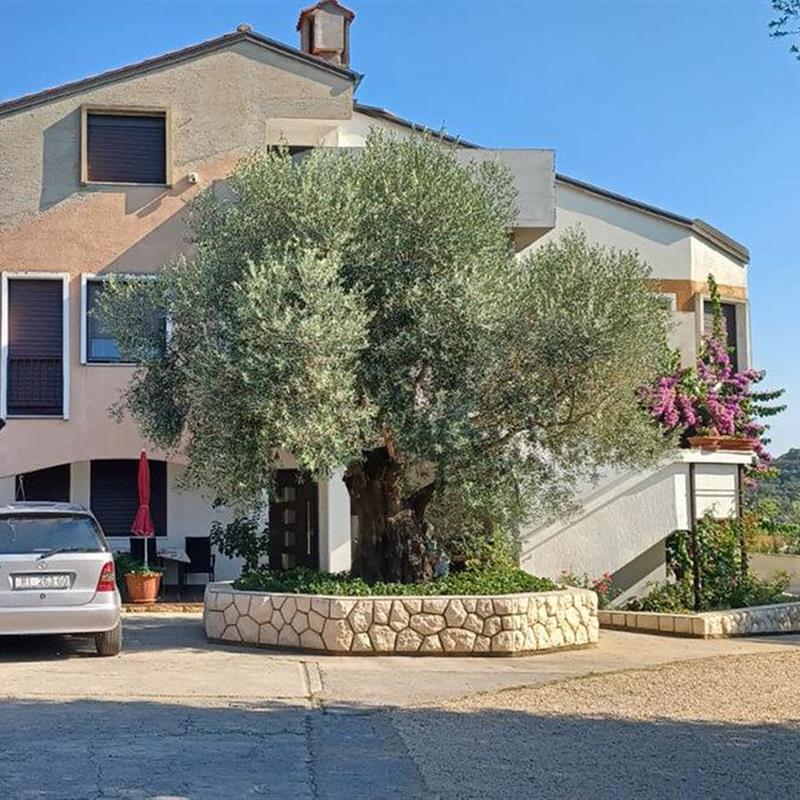 Ferielejlighed - 2 personer -  - Palit - Rab - Palit - 51280 - Palit