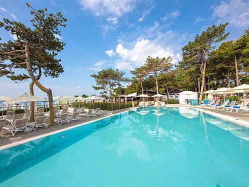 Mobilehome - 6 personer -  - Plavnicka - Krk - Jezevac - 51500 - Krk