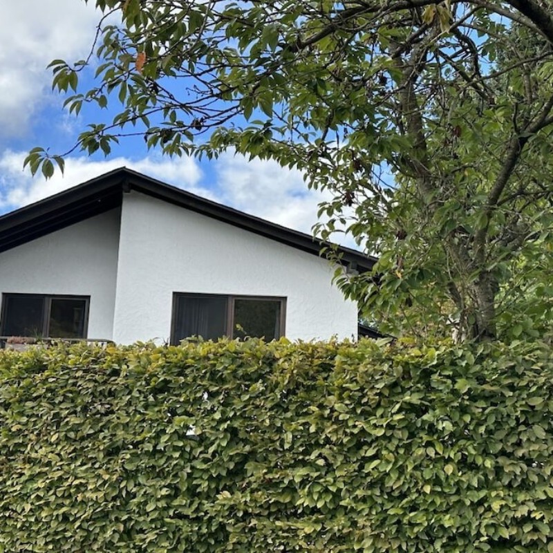 Sommerhus - 4 personer -  - 57392 - Schmallenberg
