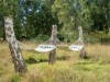 Billede 23 - Grund