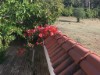 Image 33 - Outside