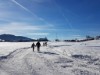 Bild 51