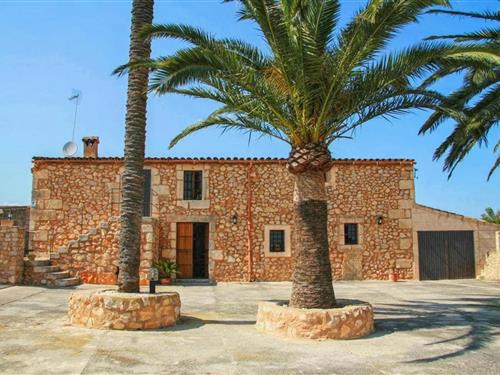 Holiday home - 8 persons -  - 07250 - Villafranca De Bonany