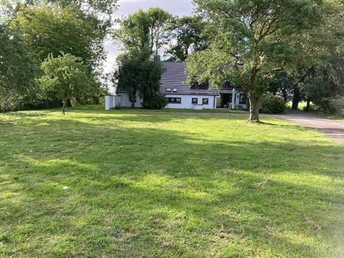 Feriehus - 8 personer -  - 26343 - Hohenkirchen