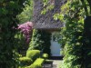 Bild 17