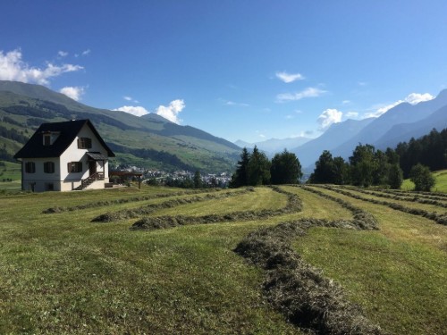 Ferienwohnung - 4 Personen -  - 7553 - Tarasp
