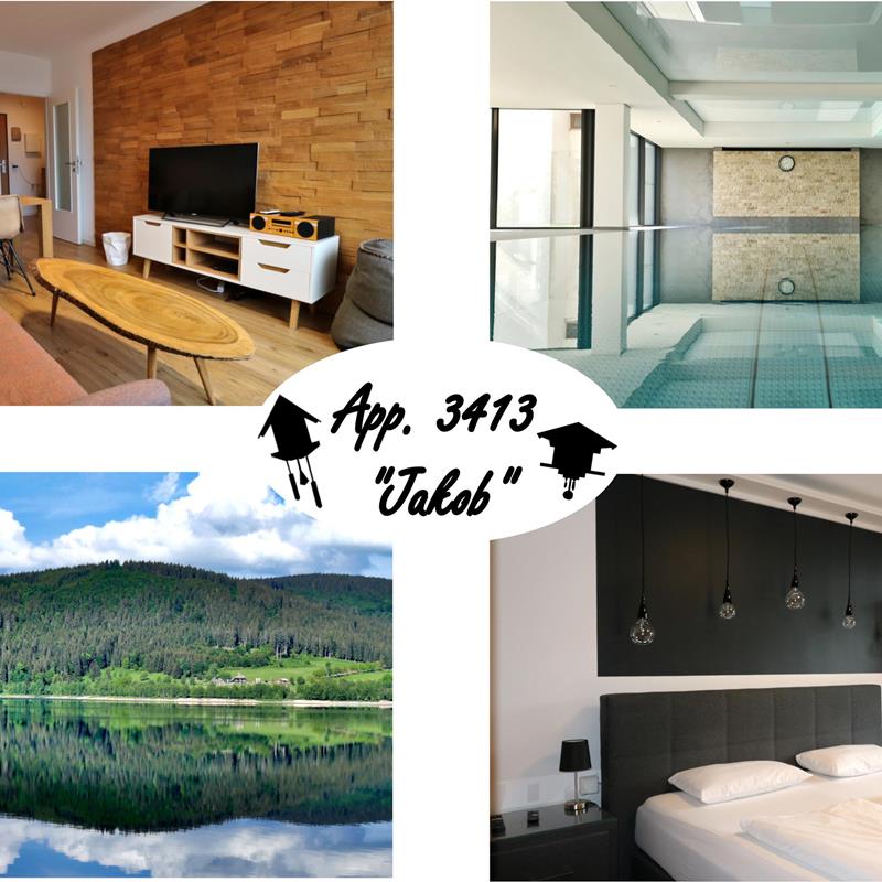 Ferielejlighed - 4 personer -  - Am Riesenbühl - 79859 - Schluchsee