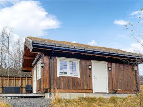 Feriehus - 4 personer -  - Nysætervegen - Fjellsætra/Sykkylven - 6220 - Straumgjerde