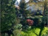 Billede 4