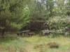 Bild 17