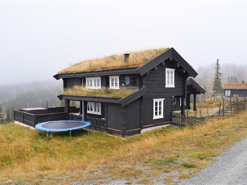 Holiday Home/Apartment - 9 persons -  - Forolie - Valdres - 2910 - Aurdal