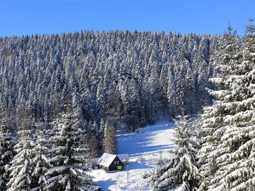 Feriehus / leilighet - 4 personer -  - Auerbacher Straße - 08248 - Klingenthal