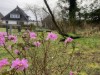 Bild 66