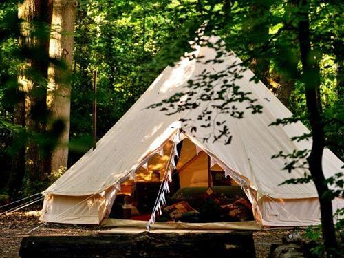 Holiday home - 2 persons -  - RG20 9XR - Woolton Hill