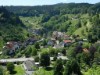 Bild 36