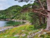 Image 64 - View of water