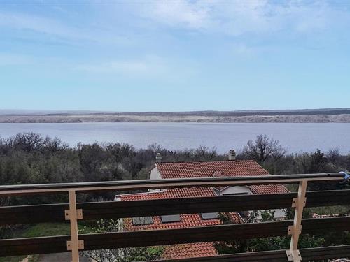 Holiday Home/Apartment - 8 persons -  - I. P. Ricica - Crikvenica - Jadranovo - 51264 - Jadranovo