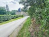 Bild 37 - Ude