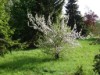 Bilde 22