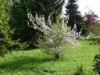 Bild 22