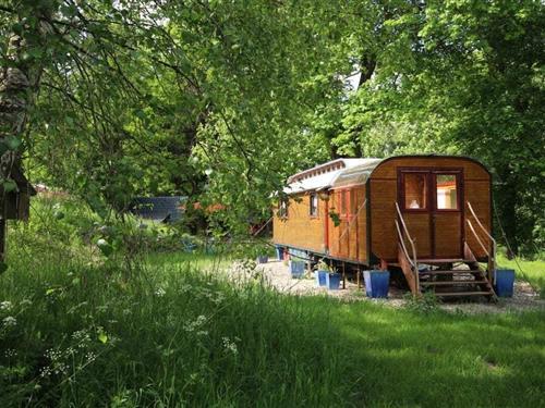 Feriehus - 2 personer -  - 56235 - Hundsdorf