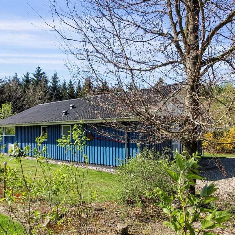 Ferienhaus - 6 Personen -  - Skikkild Bjerge - Arrild - 6520 - Toftlund