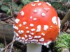 Bild 89