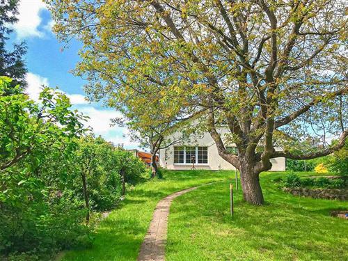 Ferielejlighed - 3 personer -  - Trostfeld - 17213 - Malchow