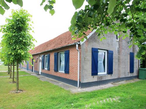 Holiday Home/Apartment - 7 persons -  - 6034RC - Nederweert Eind