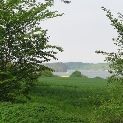 Billede 4
