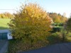 Bild 43