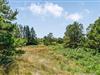 Billede 26 - Grund