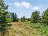 Billede 26 - Grund