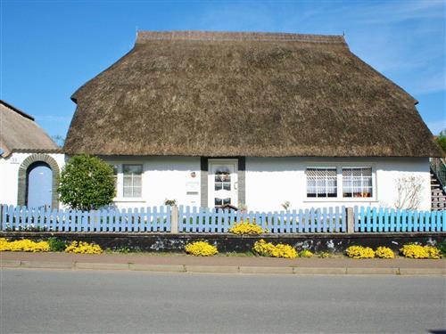 Holiday apartment - 4 persons -  - Dorfstrasse - 18581 - Putbus / Kasnevitz