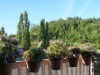 Bilde 5
