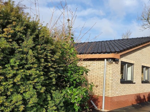 Bungalow - 4 persons -  - 1746 AX - Dirkshorn