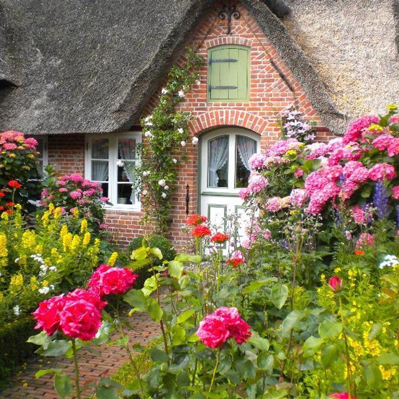 Ferielejlighed - 2 personer -  - Dorfstraße - 25826 - St. Peter-Ording