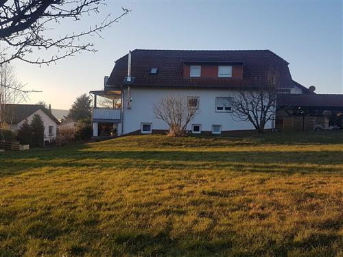 Feriehus / leilighet - 3 personer -  - Stadtring - 64720 - Michelstadt