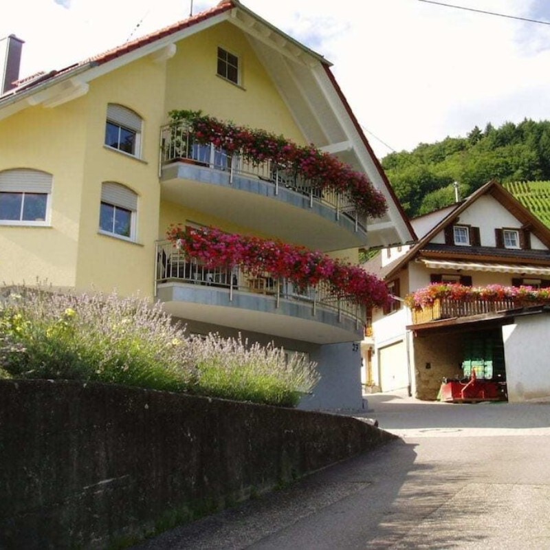 Sommerhus - 3 personer -  - 77794 - Lautenbach