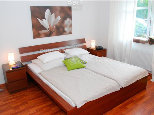 Ferieleilighet - 2 personer -  - Uferstraße - 49733 - Haren